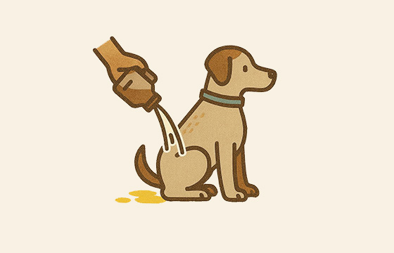 排泄物・マーキングについて