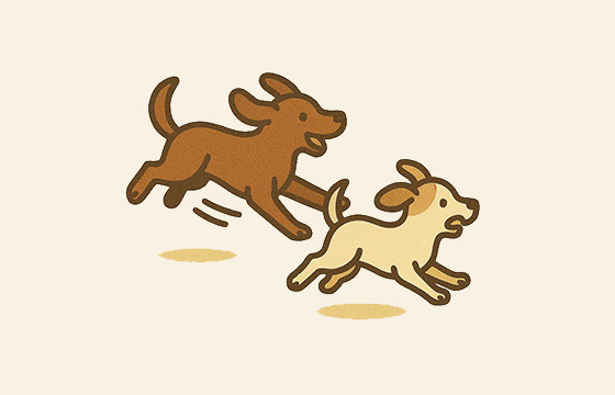 安全に遊ぶために